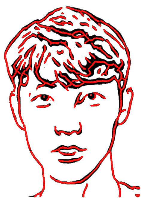 Skeleton extraction process. (a) original, (b) sketch, (c) extracted skeleton, and (d) skeleton overlaid on the sketch image.